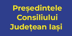 presedintele consiliului judetean - PNL